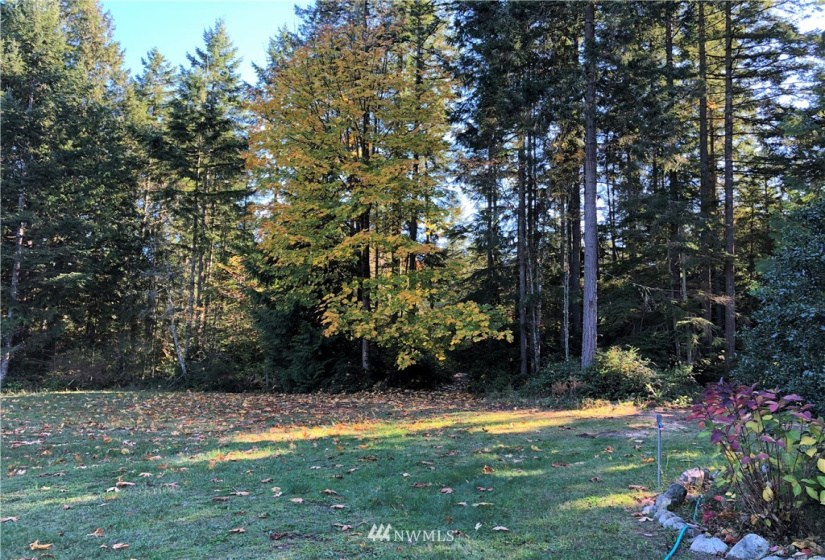 8500 Delaney, Kingston, Washington 98346, 4 Bedrooms Bedrooms, ,2 BathroomsBathrooms,Residential,For Sale,Large Lot 205,Delaney,NWM1860257