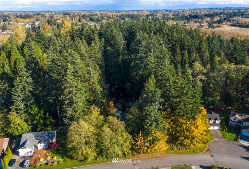 7936 Golf Course, Blaine, Washington 98230, ,Land,For Sale,Sea Links at Birch Bay,Golf Course,NWM1861924