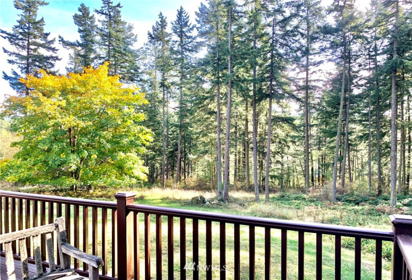 1755 Crow Valley, Orcas Island, Washington 98245, 2 Bedrooms Bedrooms, ,1 BathroomBathrooms,Residential,For Sale,Crow Valley,NWM1858692