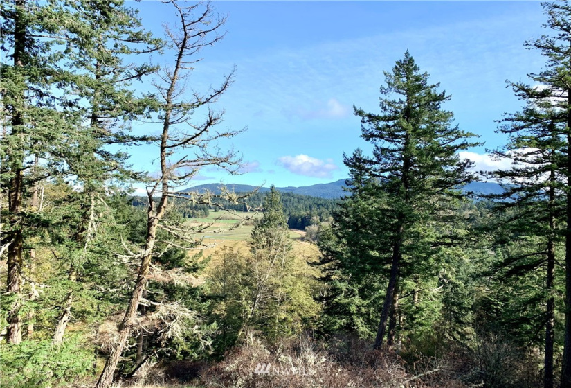 1755 Crow Valley, Orcas Island, Washington 98245, 2 Bedrooms Bedrooms, ,1 BathroomBathrooms,Residential,For Sale,Crow Valley,NWM1858692