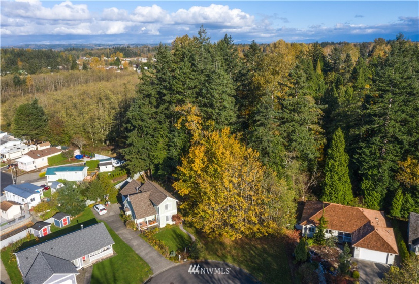 4712 Golf Course, Blaine, Washington 98230, ,Land,For Sale,Sea Links at Birch Bay,Golf Course,NWM1861921