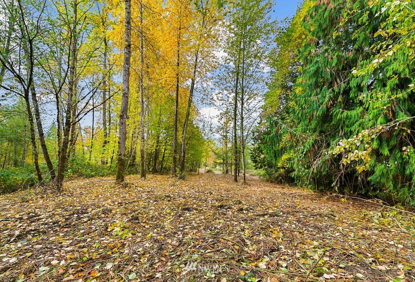 14044 Woodinville-Redmond, Redmond, Washington 98052, 2 Bedrooms Bedrooms, ,1 BathroomBathrooms,Residential,For Sale,Woodinville-Redmond,NWM1860690