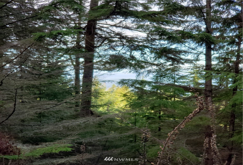 815 Twin Lakes, Orcas Island, Washington 98245, ,Land,For Sale,Pritchett Short Plat,Twin Lakes,NWM1860649