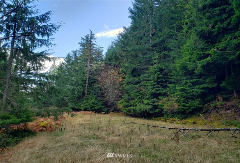815 Twin Lakes, Orcas Island, Washington 98245, ,Land,For Sale,Pritchett Short Plat,Twin Lakes,NWM1860649