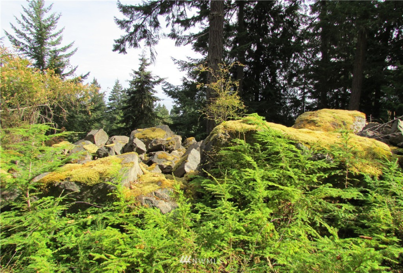 815 Twin Lakes, Orcas Island, Washington 98245, ,Land,For Sale,Pritchett Short Plat,Twin Lakes,NWM1860649