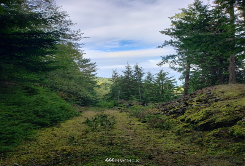 815 Twin Lakes, Orcas Island, Washington 98245, ,Land,For Sale,Pritchett Short Plat,Twin Lakes,NWM1860649