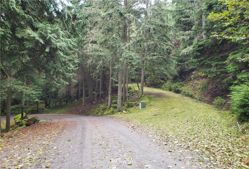 815 Twin Lakes, Orcas Island, Washington 98245, ,Land,For Sale,Pritchett Short Plat,Twin Lakes,NWM1860649