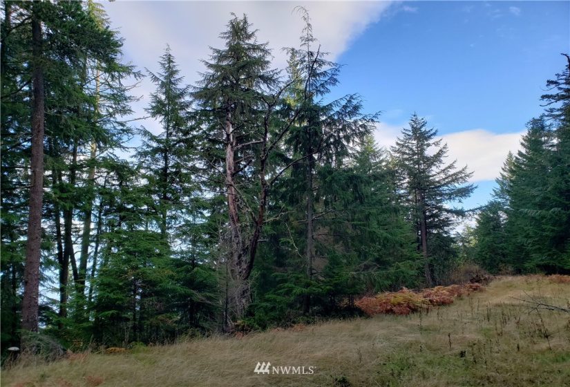 815 Twin Lakes, Orcas Island, Washington 98245, ,Land,For Sale,Pritchett Short Plat,Twin Lakes,NWM1860649