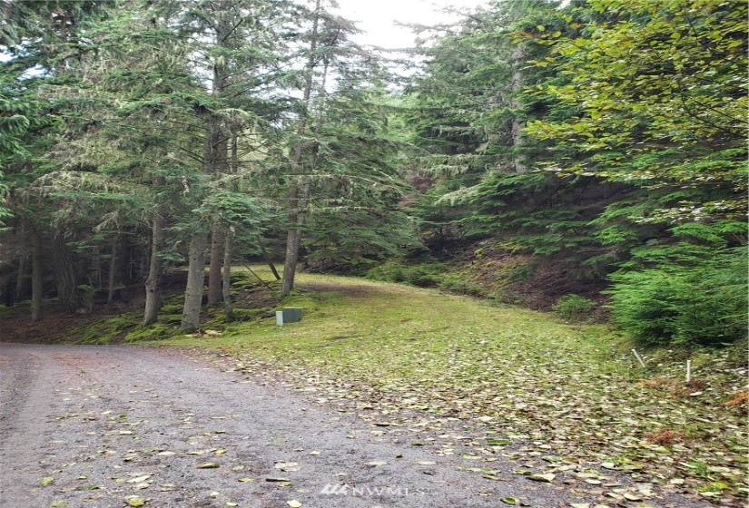815 Twin Lakes, Orcas Island, Washington 98245, ,Land,For Sale,Pritchett Short Plat,Twin Lakes,NWM1860649