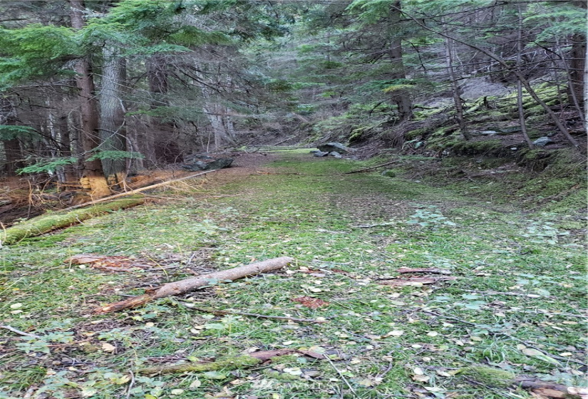 815 Twin Lakes, Orcas Island, Washington 98245, ,Land,For Sale,Pritchett Short Plat,Twin Lakes,NWM1860649