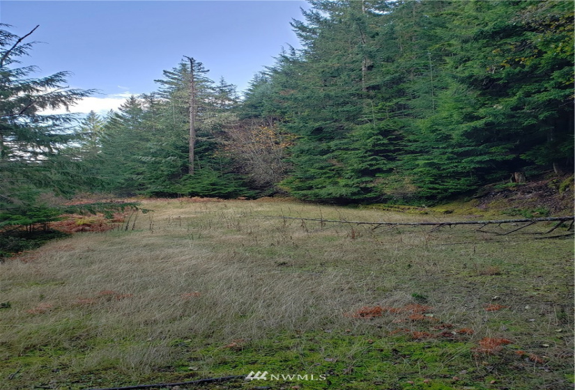 815 Twin Lakes, Orcas Island, Washington 98245, ,Land,For Sale,Pritchett Short Plat,Twin Lakes,NWM1860649