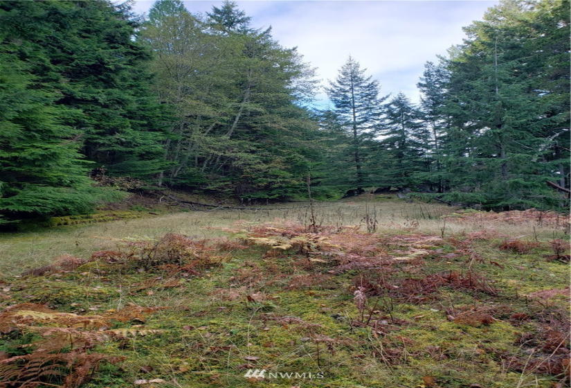 815 Twin Lakes, Orcas Island, Washington 98245, ,Land,For Sale,Pritchett Short Plat,Twin Lakes,NWM1860649