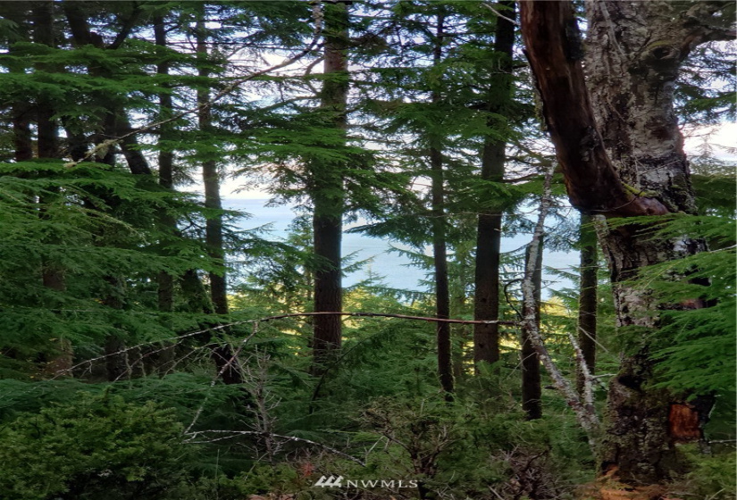 815 Twin Lakes, Orcas Island, Washington 98245, ,Land,For Sale,Pritchett Short Plat,Twin Lakes,NWM1860649