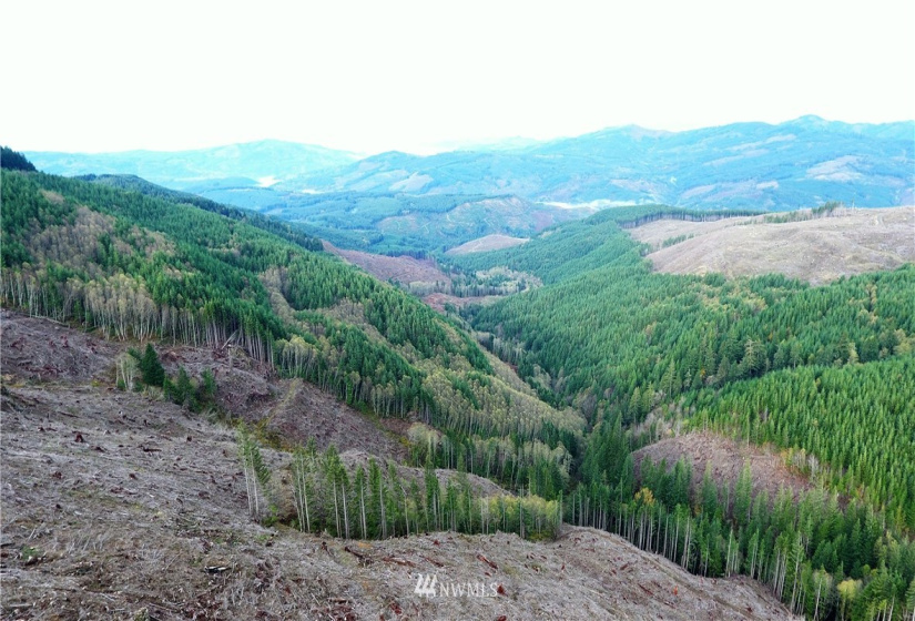 0 Aho Carson/ Davis Peak, Ariel, Washington 98674, ,Land,For Sale,Aho Carson/ Davis Peak,NWM1862020