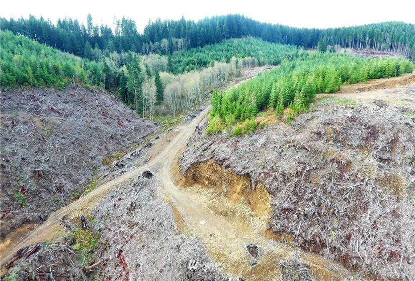 0 Aho Carson/ Davis Peak, Ariel, Washington 98674, ,Land,For Sale,Aho Carson/ Davis Peak,NWM1862020