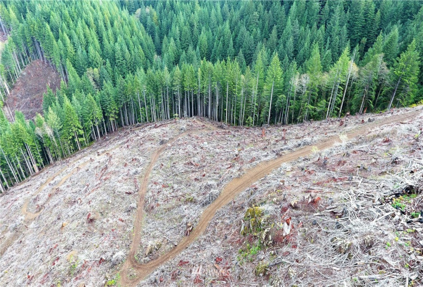 0 Aho Carson/ Davis Peak, Ariel, Washington 98674, ,Land,For Sale,Aho Carson/ Davis Peak,NWM1862020