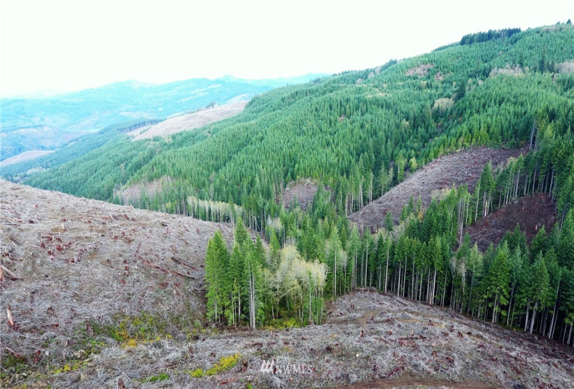 0 Aho Carson/ Davis Peak, Ariel, Washington 98674, ,Land,For Sale,Aho Carson/ Davis Peak,NWM1862020