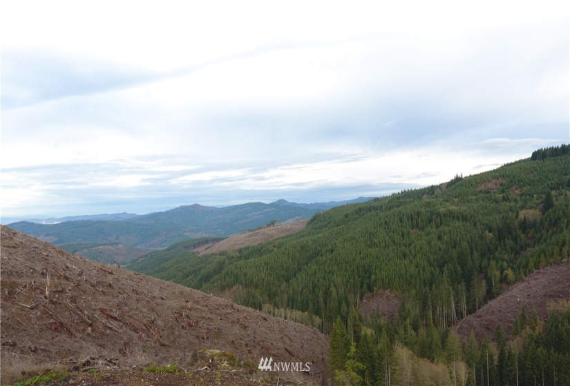 0 Aho Carson/ Davis Peak, Ariel, Washington 98674, ,Land,For Sale,Aho Carson/ Davis Peak,NWM1862020