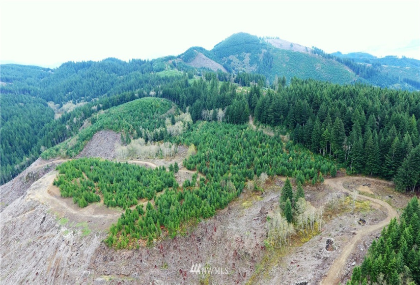 0 Aho Carson/ Davis Peak, Ariel, Washington 98674, ,Land,For Sale,Aho Carson/ Davis Peak,NWM1862020