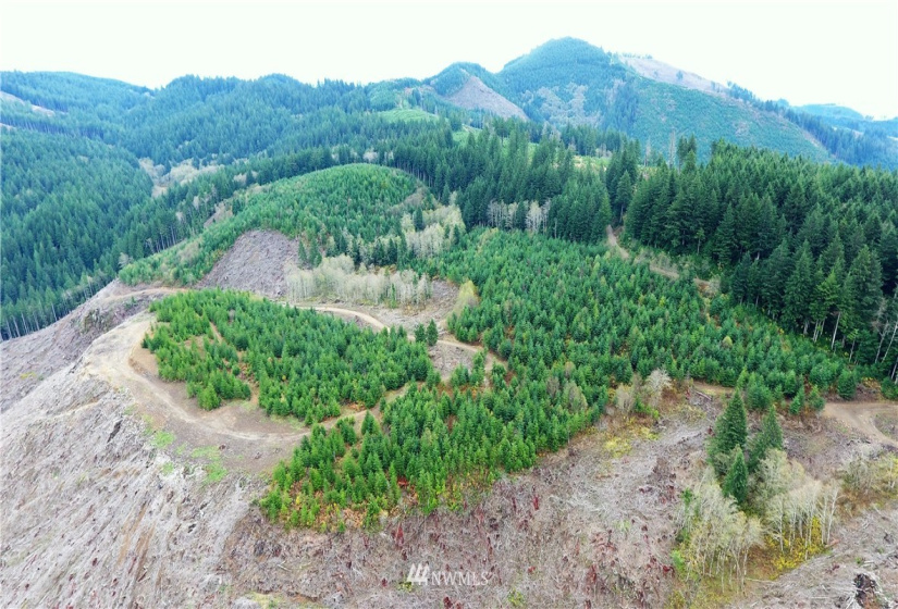 0 Aho Carson/ Davis Peak, Ariel, Washington 98674, ,Land,For Sale,Aho Carson/ Davis Peak,NWM1862020