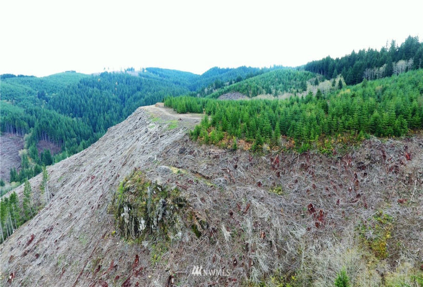 0 Aho Carson/ Davis Peak, Ariel, Washington 98674, ,Land,For Sale,Aho Carson/ Davis Peak,NWM1862020