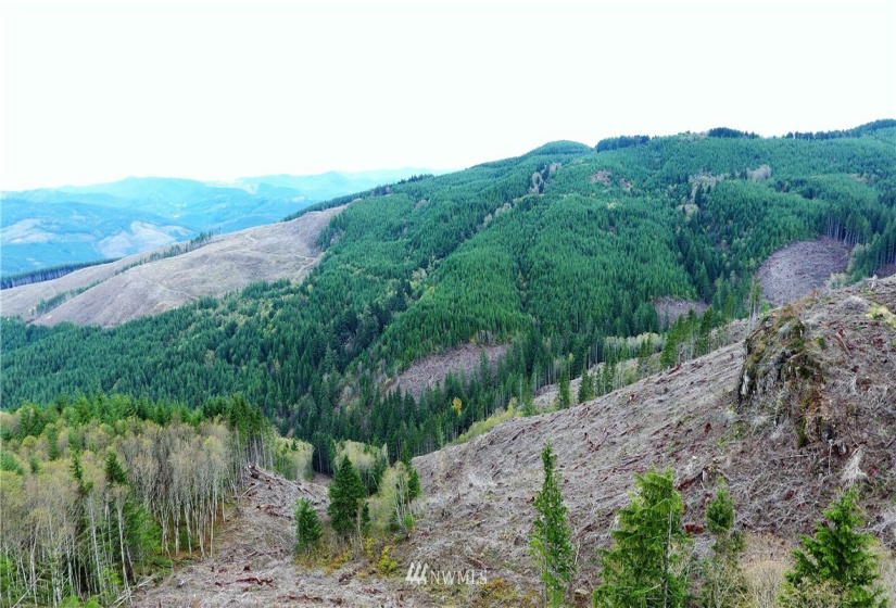 0 Aho Carson/ Davis Peak, Ariel, Washington 98674, ,Land,For Sale,Aho Carson/ Davis Peak,NWM1862020
