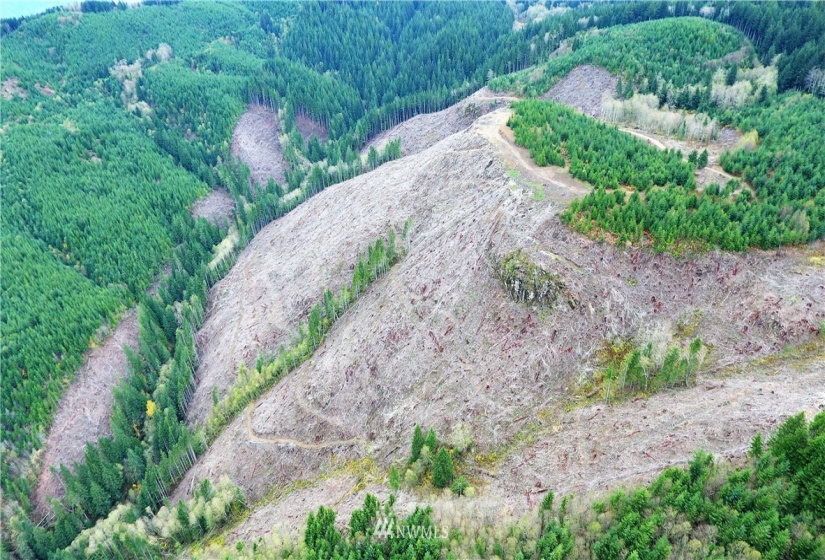 0 Aho Carson/ Davis Peak, Ariel, Washington 98674, ,Land,For Sale,Aho Carson/ Davis Peak,NWM1862020
