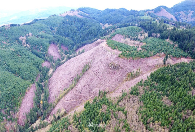 0 Aho Carson/ Davis Peak, Ariel, Washington 98674, ,Land,For Sale,Aho Carson/ Davis Peak,NWM1862020