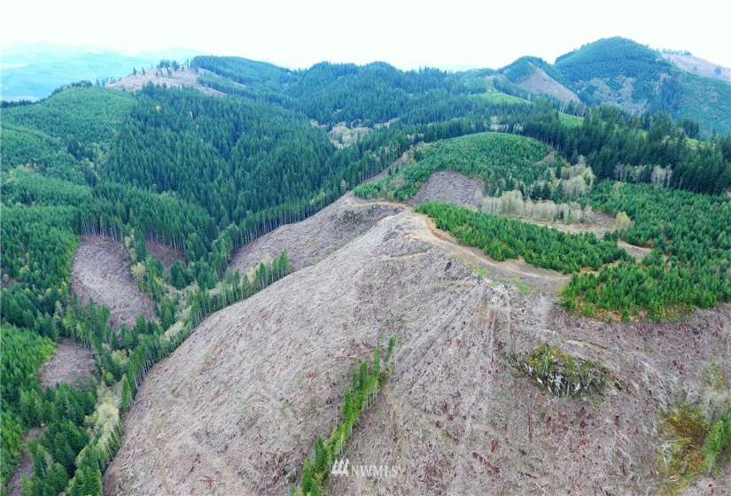 0 Aho Carson/ Davis Peak, Ariel, Washington 98674, ,Land,For Sale,Aho Carson/ Davis Peak,NWM1862020