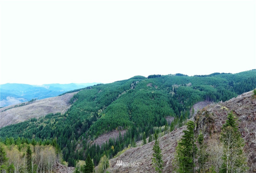 0 Aho Carson/ Davis Peak, Ariel, Washington 98674, ,Land,For Sale,Aho Carson/ Davis Peak,NWM1862020