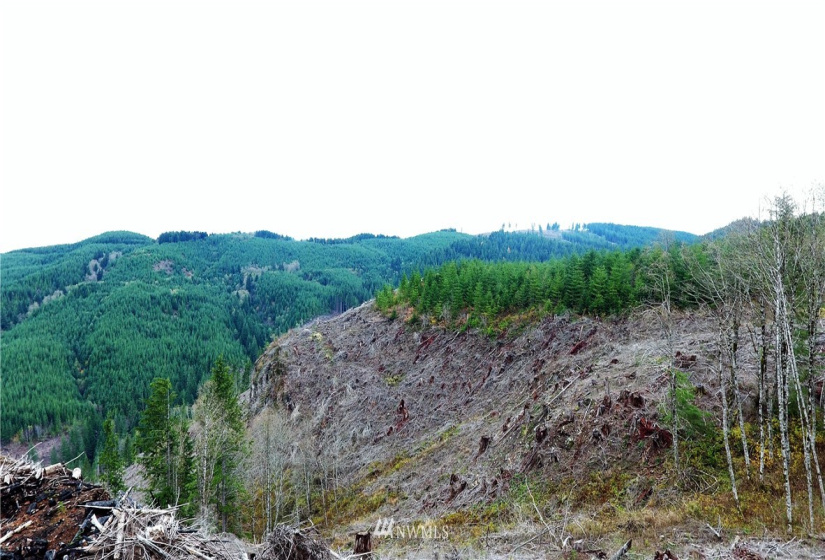 0 Aho Carson/ Davis Peak, Ariel, Washington 98674, ,Land,For Sale,Aho Carson/ Davis Peak,NWM1862020