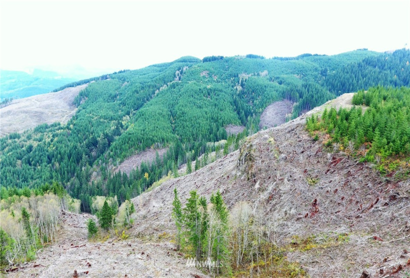 0 Aho Carson/ Davis Peak, Ariel, Washington 98674, ,Land,For Sale,Aho Carson/ Davis Peak,NWM1862020