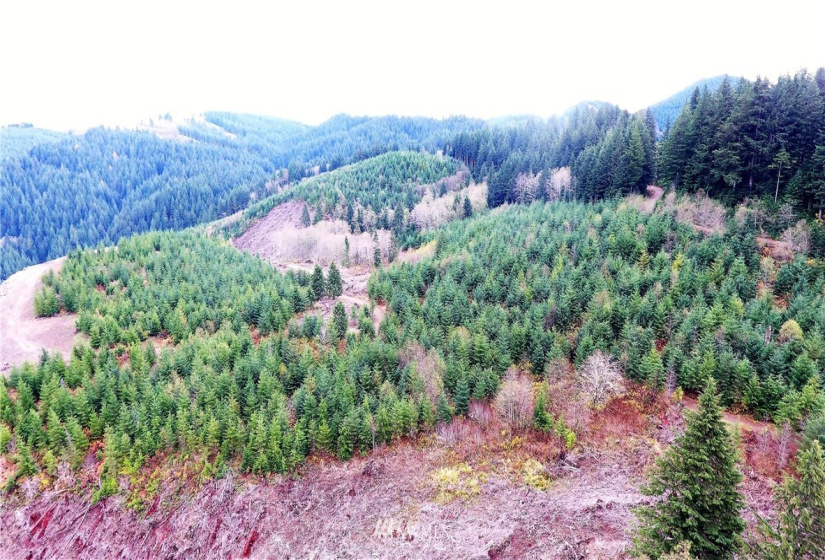 0 Aho Carson/ Davis Peak, Ariel, Washington 98674, ,Land,For Sale,Aho Carson/ Davis Peak,NWM1862020