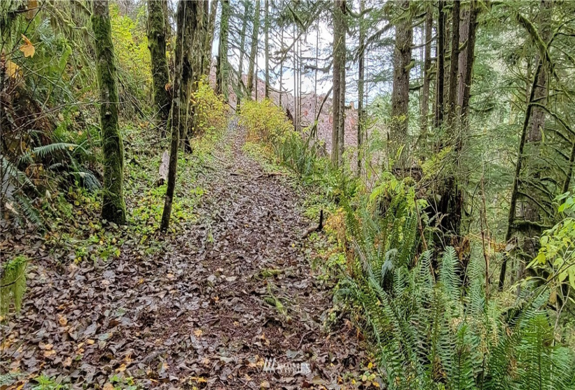 0 Aho Carson/ Davis Peak, Ariel, Washington 98674, ,Land,For Sale,Aho Carson/ Davis Peak,NWM1862020
