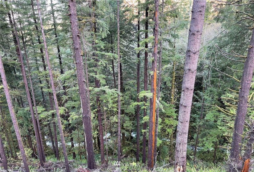 0 Aho Carson/ Davis Peak, Ariel, Washington 98674, ,Land,For Sale,Aho Carson/ Davis Peak,NWM1862020