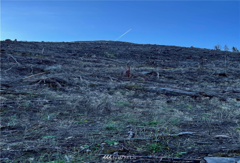 0 Aho Carson/ Davis Peak, Ariel, Washington 98674, ,Land,For Sale,Aho Carson/ Davis Peak,NWM1862020