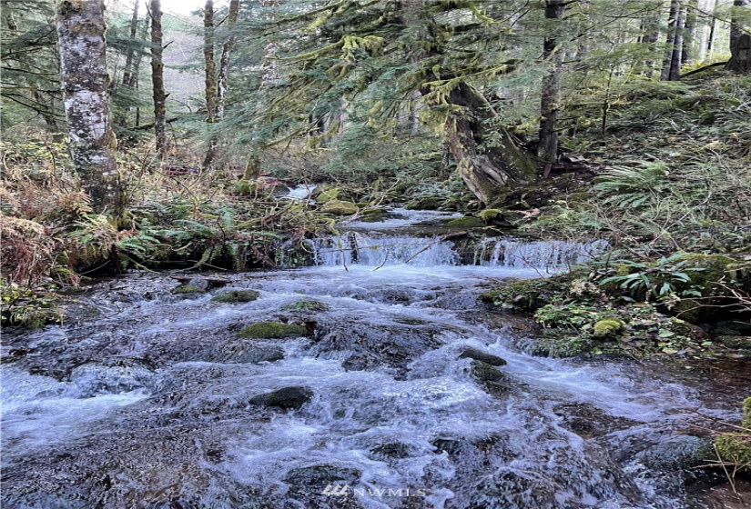 0 Aho Carson/ Davis Peak, Ariel, Washington 98674, ,Land,For Sale,Aho Carson/ Davis Peak,NWM1862020