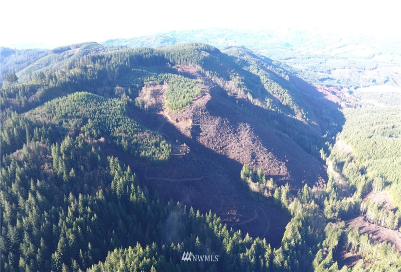 0 Aho Carson/ Davis Peak, Ariel, Washington 98674, ,Land,For Sale,Aho Carson/ Davis Peak,NWM1862020
