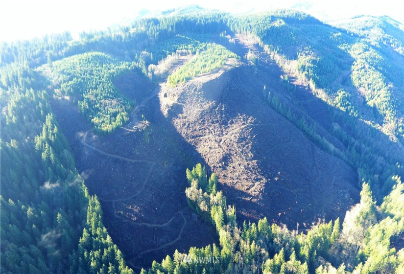 0 Aho Carson/ Davis Peak, Ariel, Washington 98674, ,Land,For Sale,Aho Carson/ Davis Peak,NWM1862020