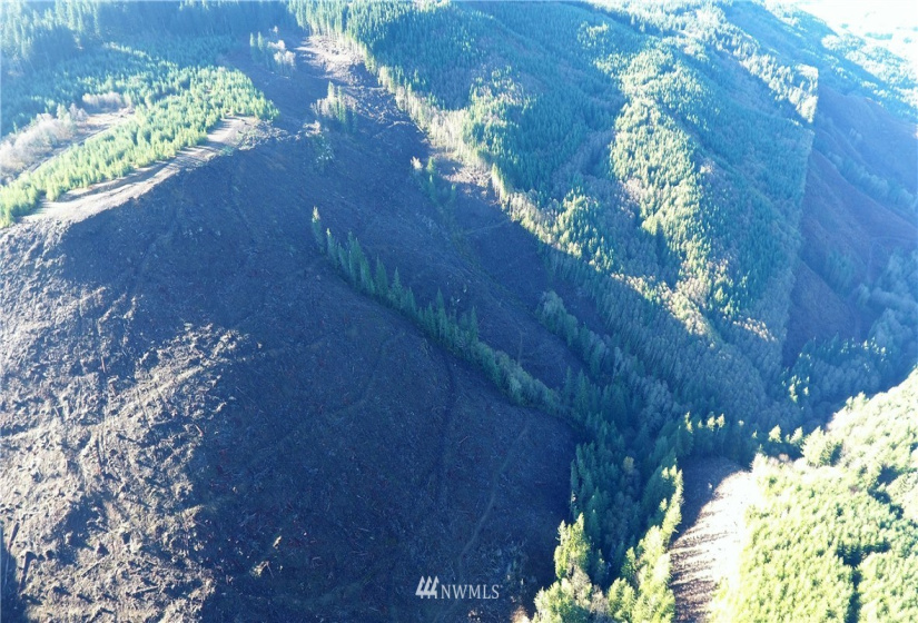 0 Aho Carson/ Davis Peak, Ariel, Washington 98674, ,Land,For Sale,Aho Carson/ Davis Peak,NWM1862020