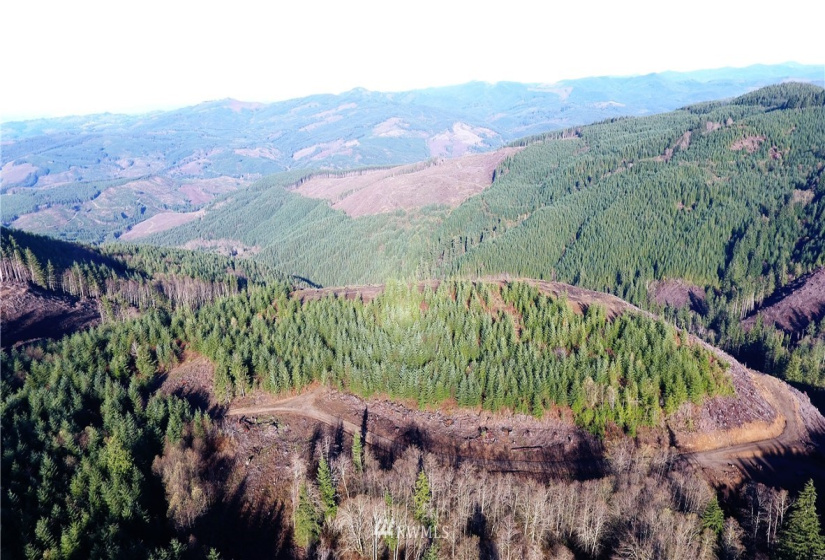 0 Aho Carson/ Davis Peak, Ariel, Washington 98674, ,Land,For Sale,Aho Carson/ Davis Peak,NWM1862020