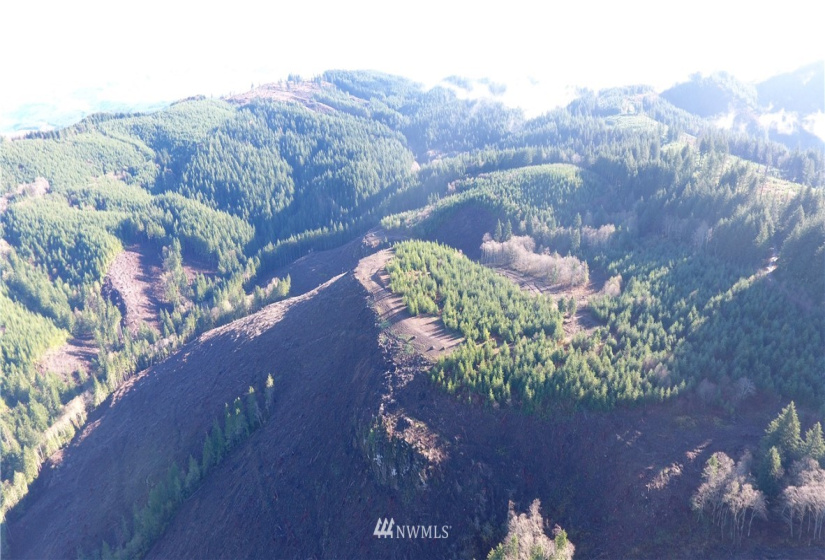 0 Aho Carson/ Davis Peak, Ariel, Washington 98674, ,Land,For Sale,Aho Carson/ Davis Peak,NWM1862020
