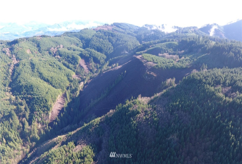 0 Aho Carson/ Davis Peak, Ariel, Washington 98674, ,Land,For Sale,Aho Carson/ Davis Peak,NWM1862020