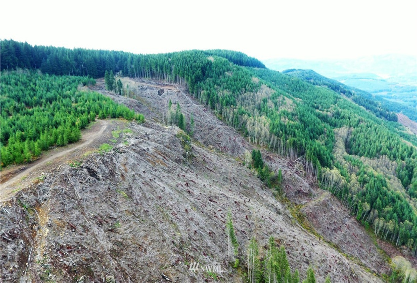 0 Aho Carson/ Davis Peak, Ariel, Washington 98674, ,Land,For Sale,Aho Carson/ Davis Peak,NWM1862020