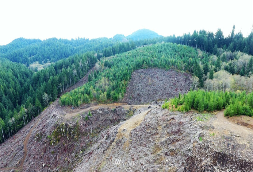 0 Aho Carson/ Davis Peak, Ariel, Washington 98674, ,Land,For Sale,Aho Carson/ Davis Peak,NWM1862020