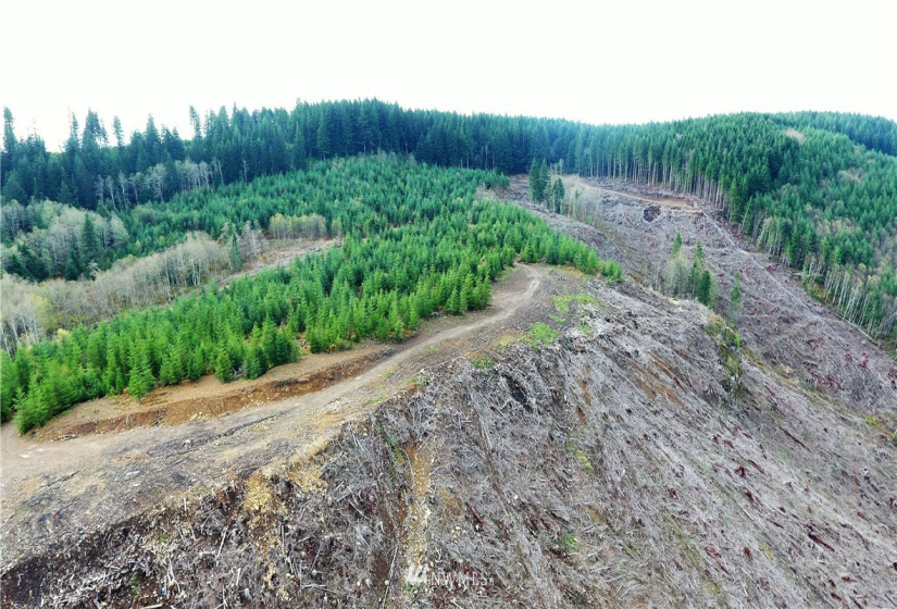 0 Aho Carson/ Davis Peak, Ariel, Washington 98674, ,Land,For Sale,Aho Carson/ Davis Peak,NWM1862020