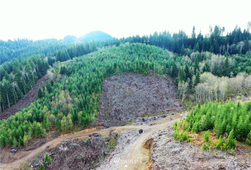 0 Aho Carson/ Davis Peak, Ariel, Washington 98674, ,Land,For Sale,Aho Carson/ Davis Peak,NWM1862020