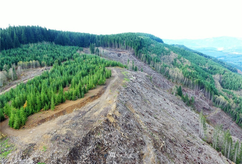 0 Aho Carson/ Davis Peak, Ariel, Washington 98674, ,Land,For Sale,Aho Carson/ Davis Peak,NWM1862020