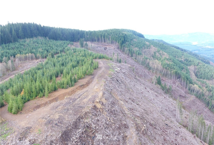 0 Aho Carson/ Davis Peak, Ariel, Washington 98674, ,Land,For Sale,Aho Carson/ Davis Peak,NWM1862020
