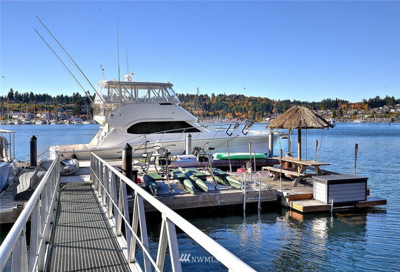 8406 Goodman, Gig Harbor, Washington 98332, 3 Bedrooms Bedrooms, ,Residential,For Sale,Goodman,NWM1840468